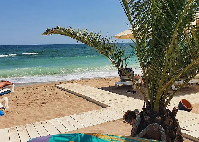 Purple Onyx - Pool & * Năvodari