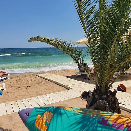 Purple Onyx - Pool & * Navodari